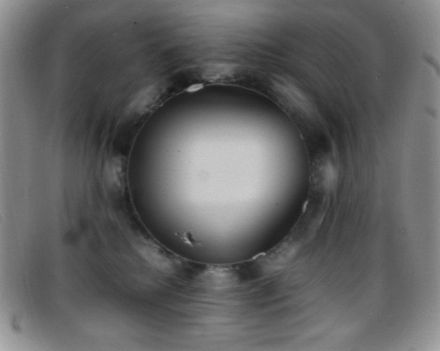 X0000096670280200802051230