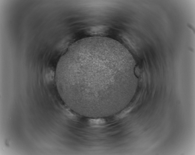 X0000096670281200802051230