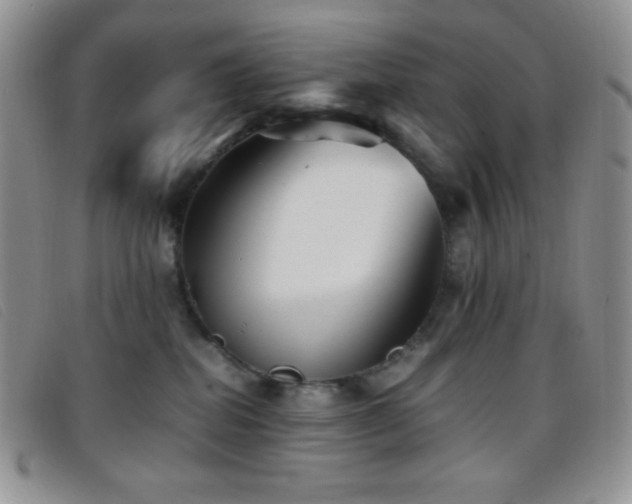 X0000096670282200802051230