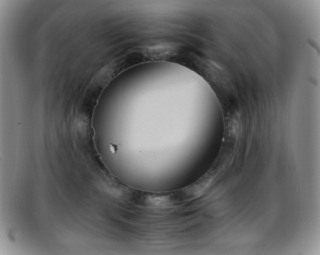 X0000096670283200802051230