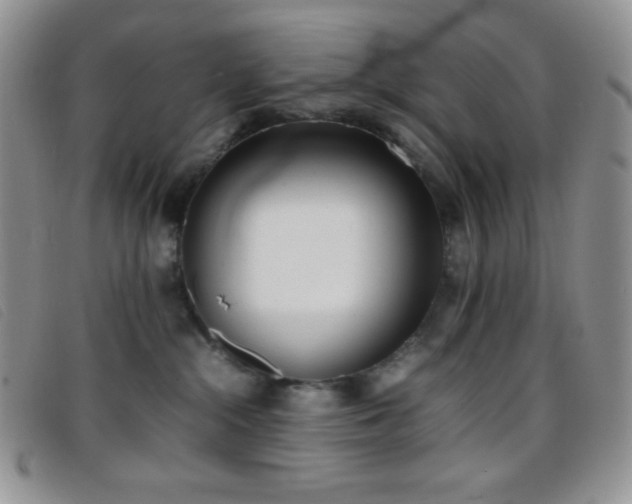 X0000096670284200802051230