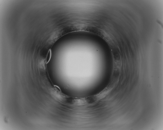 X0000096670286200802051230