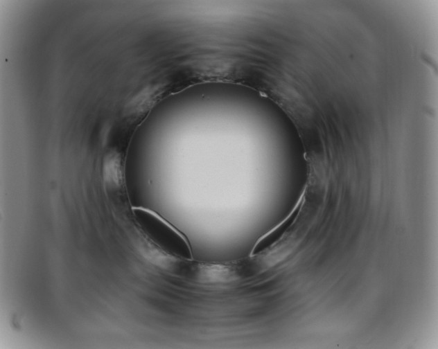 X0000096670287200802051230
