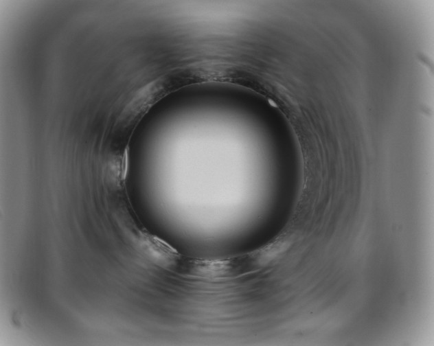 X0000096670288200802051230