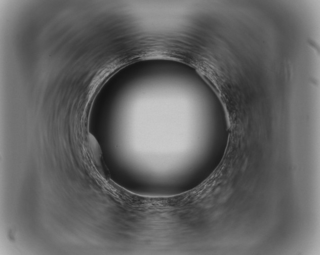 X0000096670289200802051229