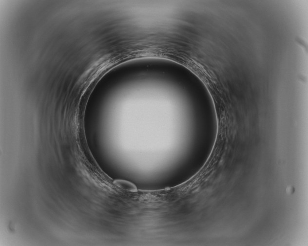 X0000096670290200802051229