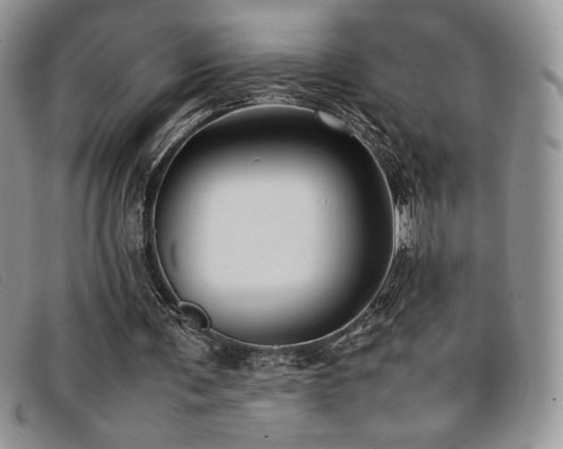 X0000096670291200802051229
