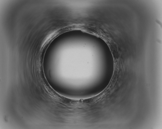 X0000096670293200802051229