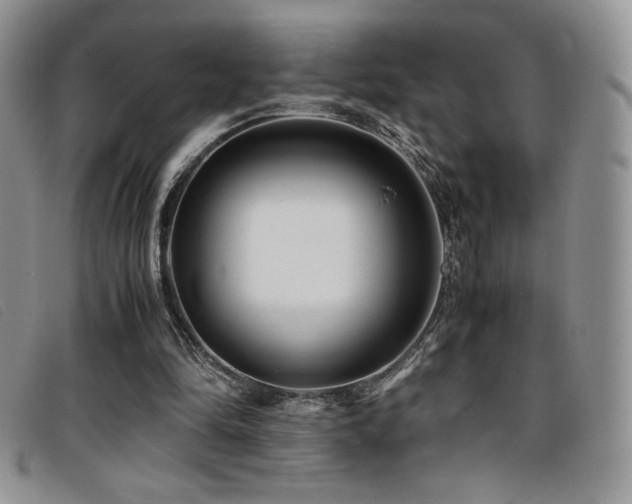 X0000096670294200802051229