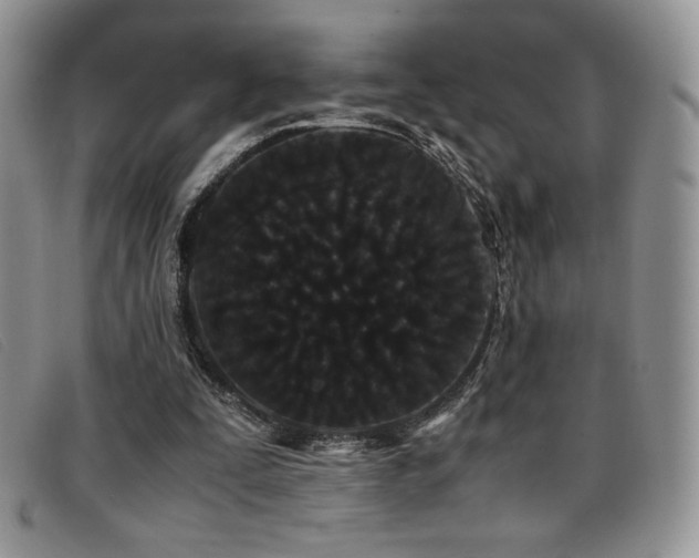 X0000096670295200802051229