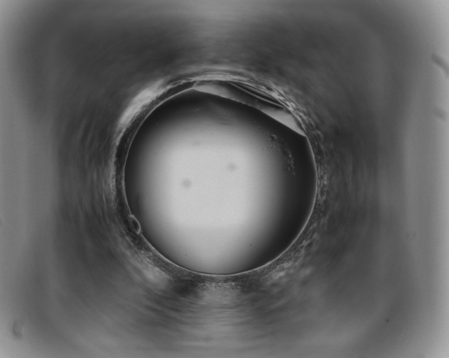 X0000096670296200802051229