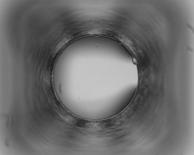 X0000096670297200802051229