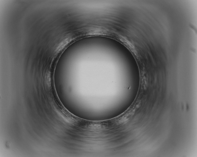 X0000096670298200802051229
