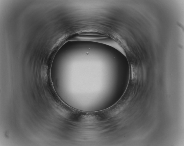 X0000096670300200802051229