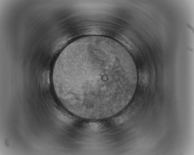 X0000096670302200802051229
