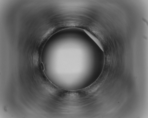 X0000096670304200802051229