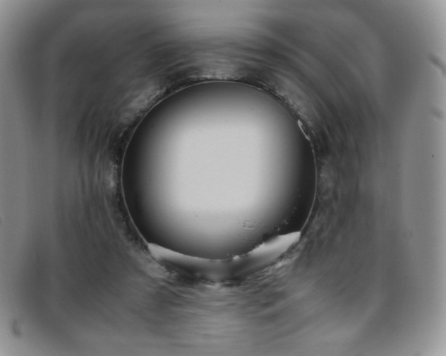 X0000096670305200802051229