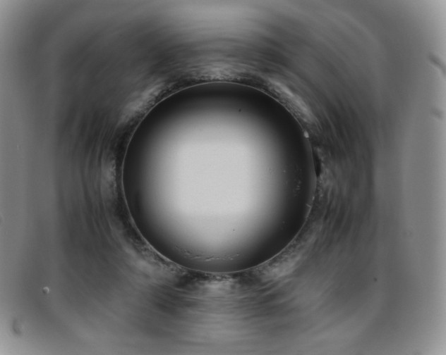 X0000096670306200802051229