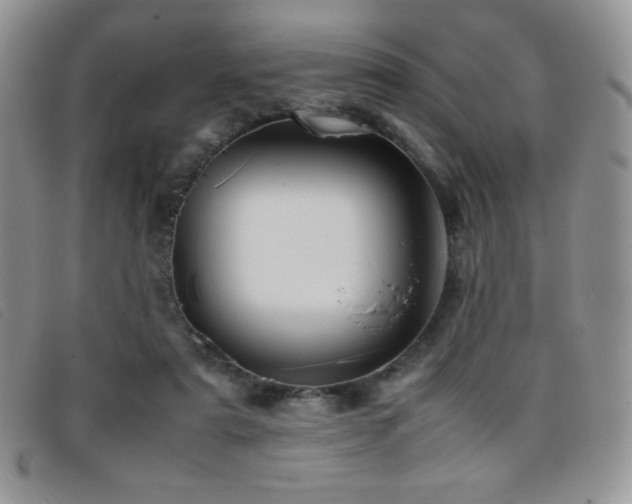 X0000096670307200802051229