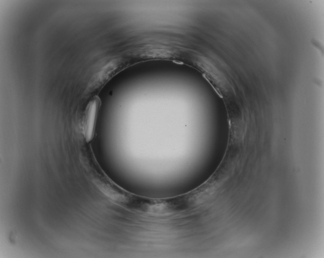 X0000096670309200802051229