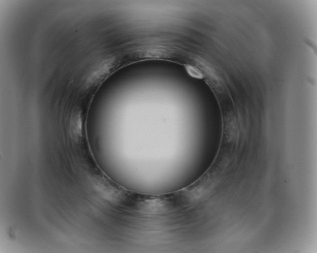X0000096670310200802051229