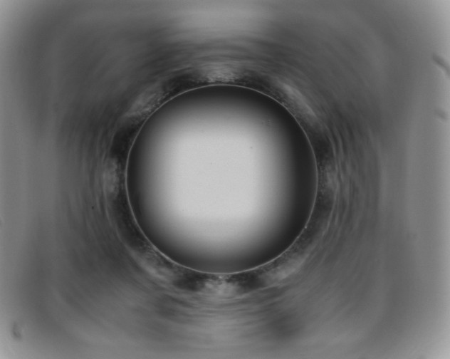 X0000096670311200802051229