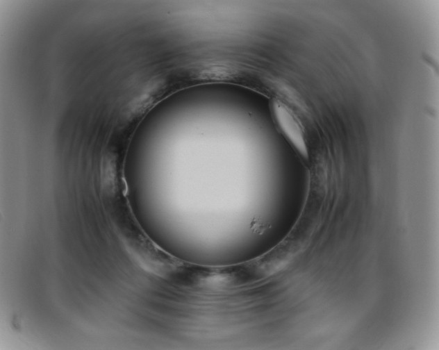 X0000096670312200802051229