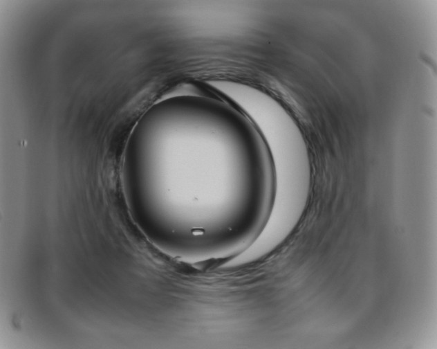 X0000096670313200802051229