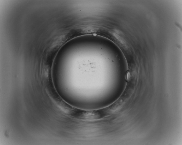 X0000096670315200802051229