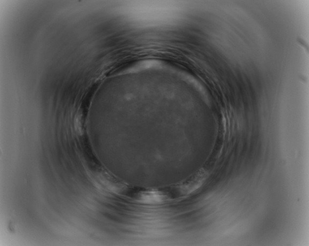 X0000096670316200802051229
