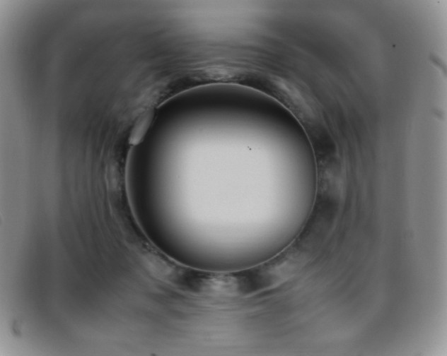X0000096670317200802051229