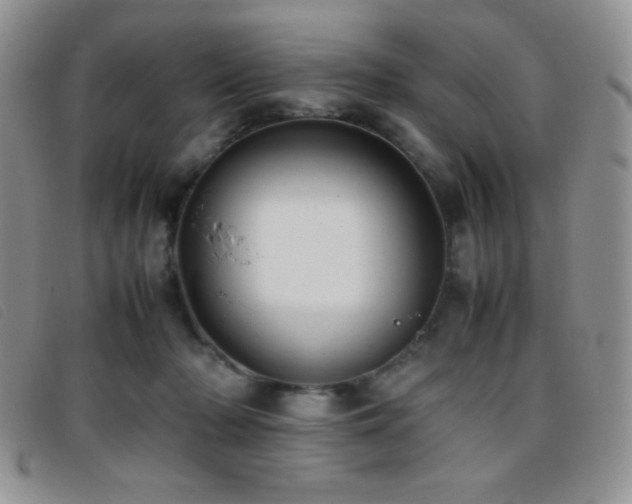 X0000096670318200802051229
