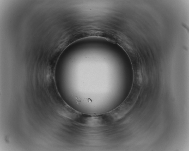X0000096670320200802051229