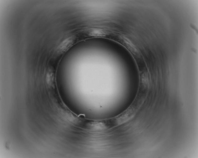 X0000096670322200802051229