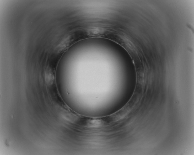 X0000096670324200802051229