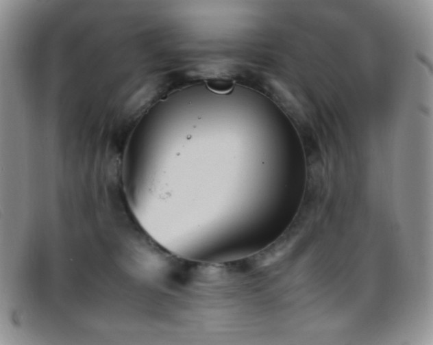 X0000096670325200802051229