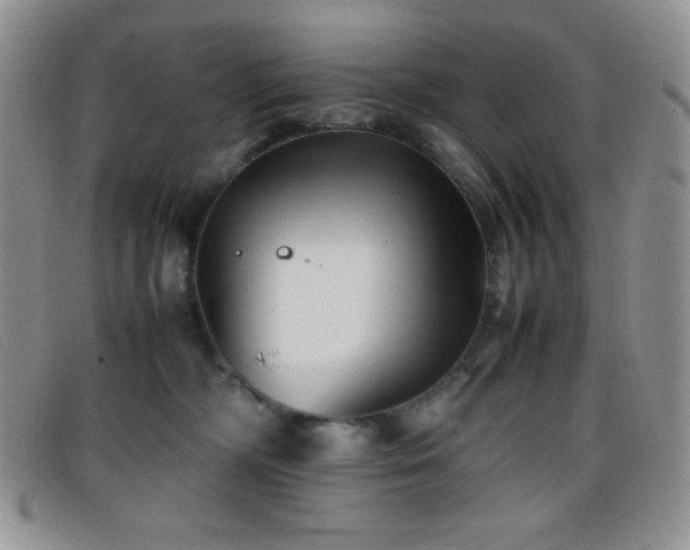 X0000096670326200802051229