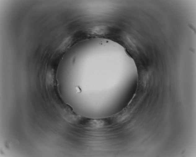 X0000096670328200802051229