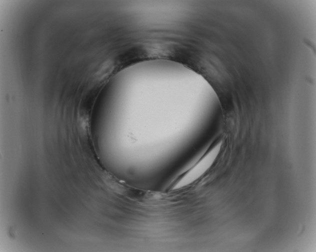 X0000096670329200802051229