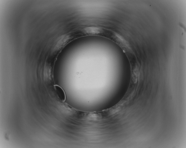 X0000096670330200802051229