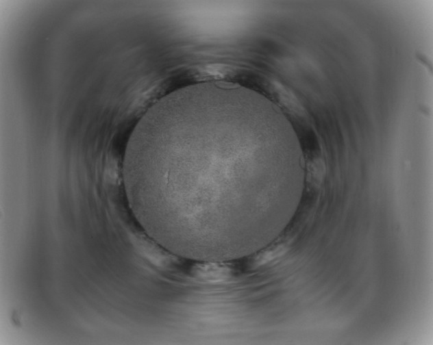 X0000096670331200802051228