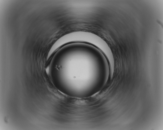 X0000096670332200802051228