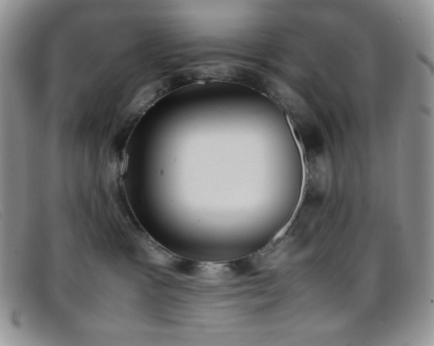 X0000096670333200802051228