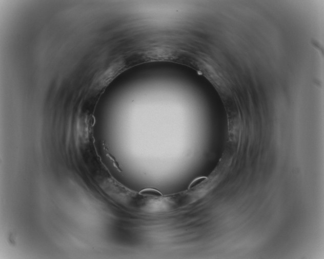 X0000096670334200802051228