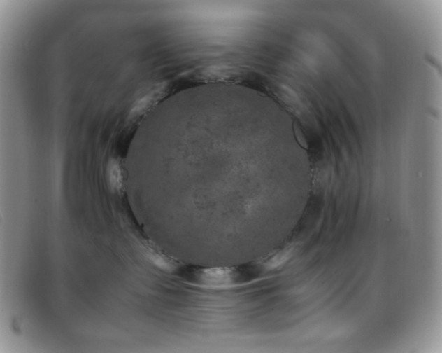 X0000096670335200802051228