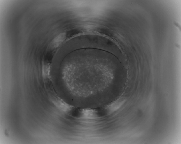X0000096670336200802051228