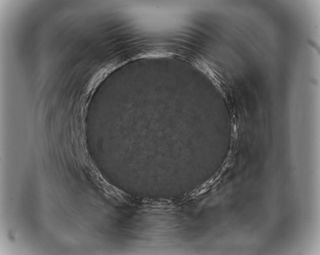 X0000096670337200802051228