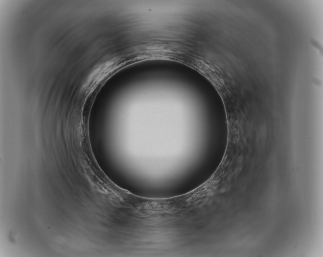 X0000096670338200802051228