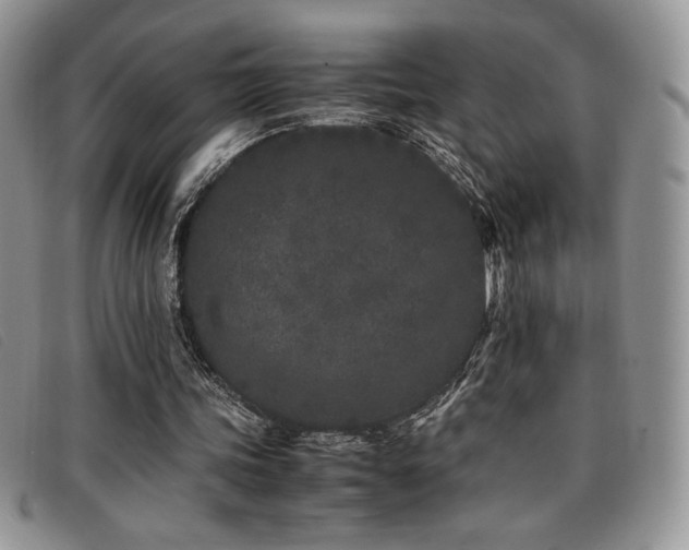 X0000096670339200802051228