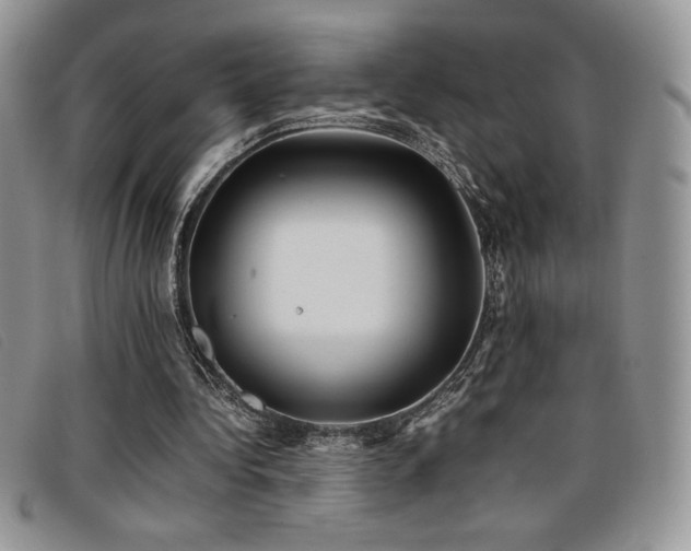 X0000096670340200802051228